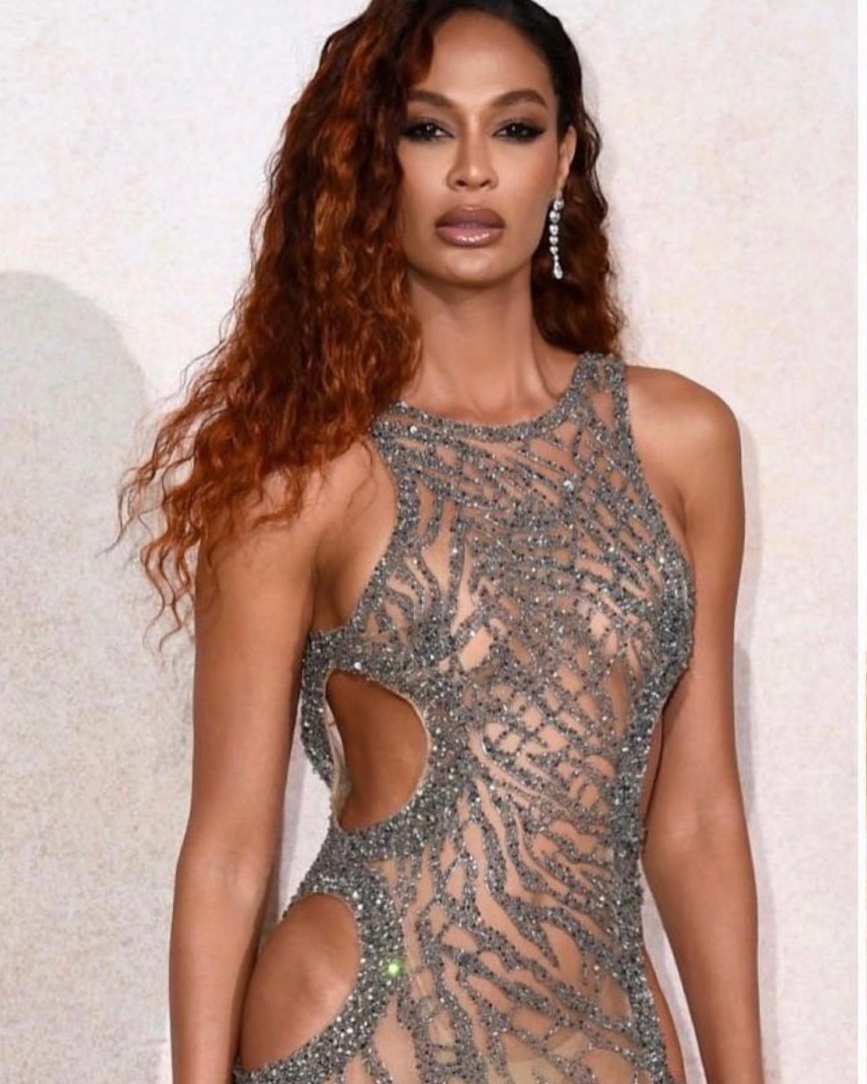 Joan Smalls Tits